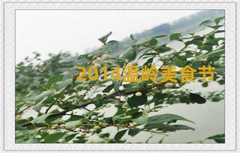 2014温岭美食节