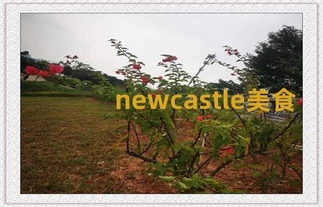 newcastle美食