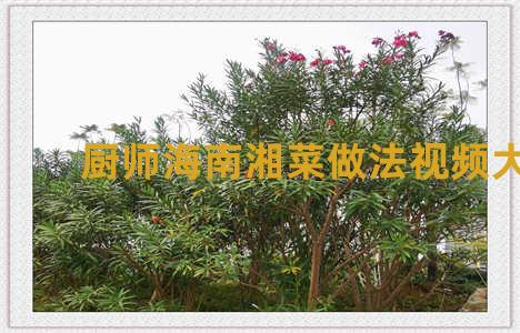 厨师海南湘菜做法视频大全