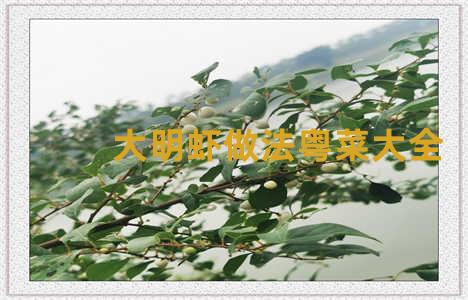 大明虾做法粤菜大全