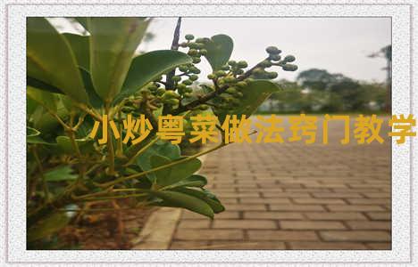 小炒粤菜做法窍门教学