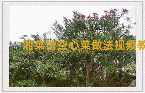 湘菜馆空心菜做法视频教学