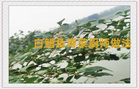 白鲳鱼粤菜厨师做法