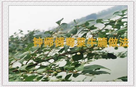 钟师傅粤菜牛腩做法